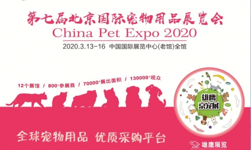 2020第七届京宠展 蓄势 从“宠”出发