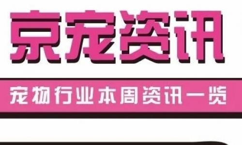 京宠资讯|北京“文明养犬”卡通IP形象征集；领先与甄嬛传联名